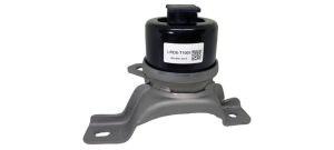 LRDS-T1001.png